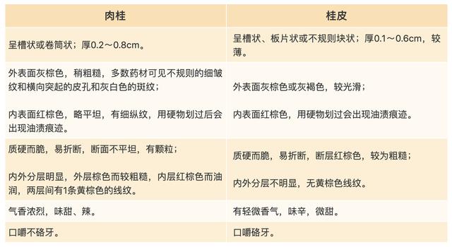 厨房里的中药「肉桂」和「桂皮」，孰优孰劣？