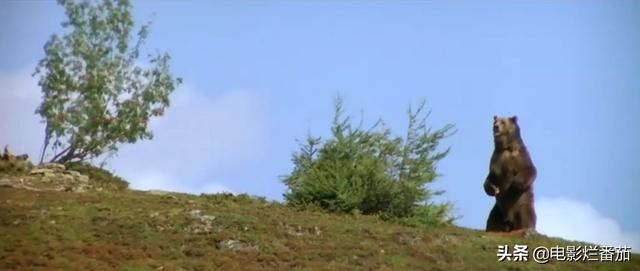 ����9.1�֣���ʵ�¼��ı࣬�ⲿ���ص�Ӱ���ҿ�һ�ο�һ��