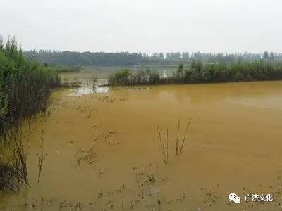 湖北武穴陳海林：洪水襲來，我的父老鄉(xiāng)親在與時(shí)間賽跑