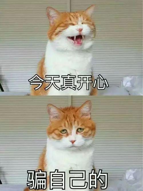 图片[3]-cry up的意思可不是“大哭”，真正意思让你怀疑人生-笑傲英语网