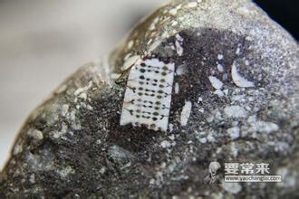 俄罗斯发现的2.5亿年前的“芯片”化石，是否来自外星文明？
