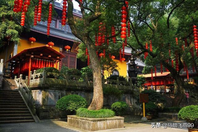 今年五一旅游去哪里？自驾游，周边游？还是跨