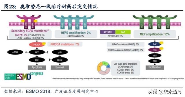 医药行业专题：第三代EGFR-TKI药物，第一大癌症造就百亿市场