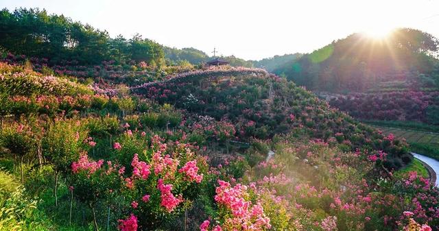 8月8日—12月31日，英山四季花海景区对全国游客免门票开放