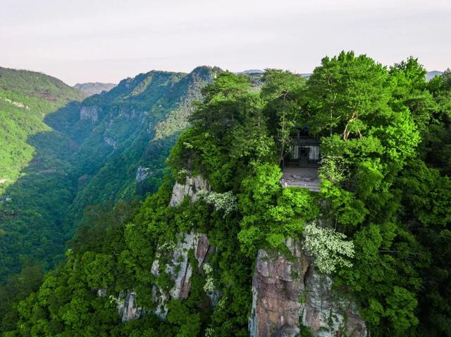 寧波避暑攻略，這個家門口的避暑度假勝地，私藏了25℃的夏天