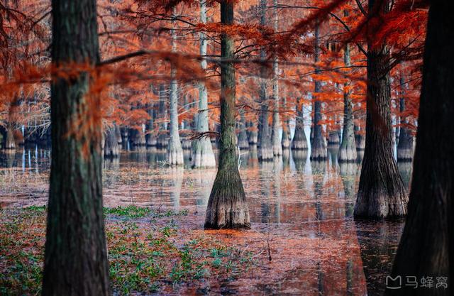 之境|南京天空之境石臼湖 有一半的奇观都藏在水面下