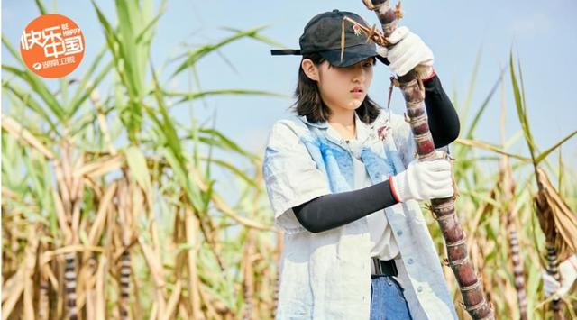 《向往的生活》每一季一种奇妙天象，果然是天选综艺