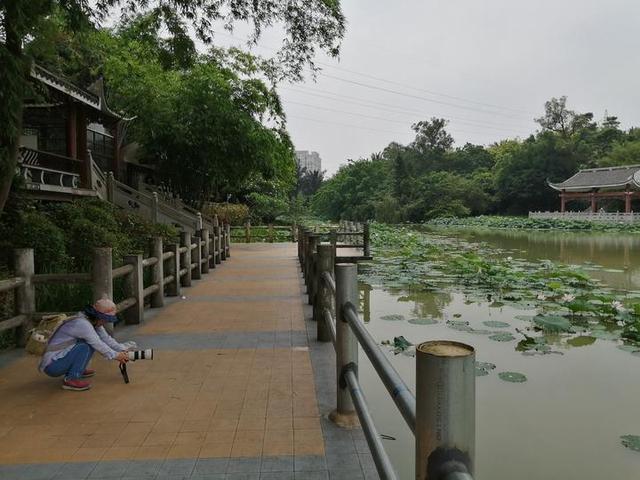 夏天来了，到南宁市里的这个天然氧吧，走花路