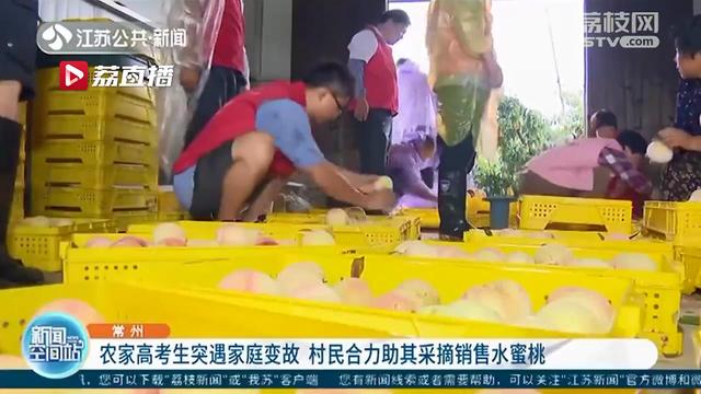 伸出援手！农家女高考结束突遇家庭变故 村民合力助其采摘销售水蜜桃