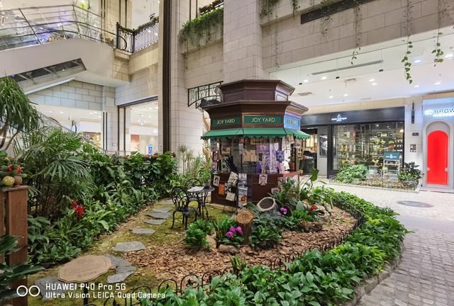 华为P40 Pro体验：用手机拍出好照片，其实真的很