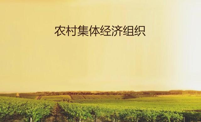 想赚钱就去农村？未来十年内农村成\"淘金场