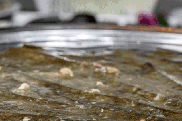 吃鸡，广东人最体面的生活方式