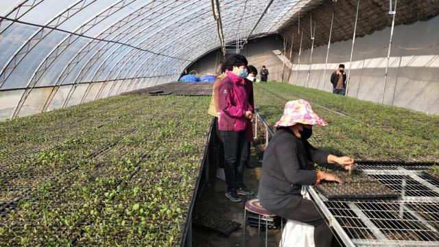 不忘初心跟党走 巾帼建功新时代 —白银市妇联党建工作纪实
