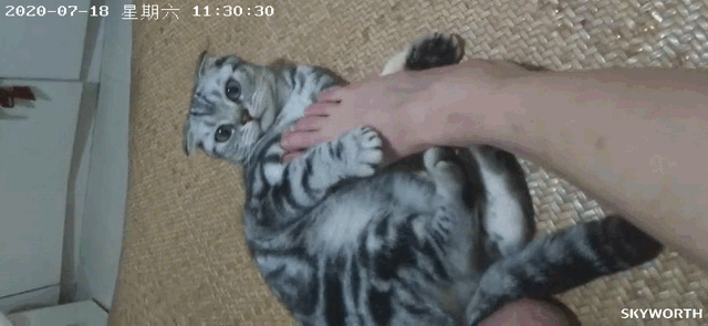 智能AI助力家居安防，创维小湃高清智能摄像头