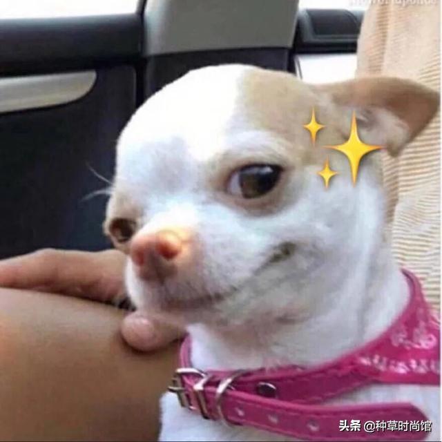 你的面膜上黑名单了吗？