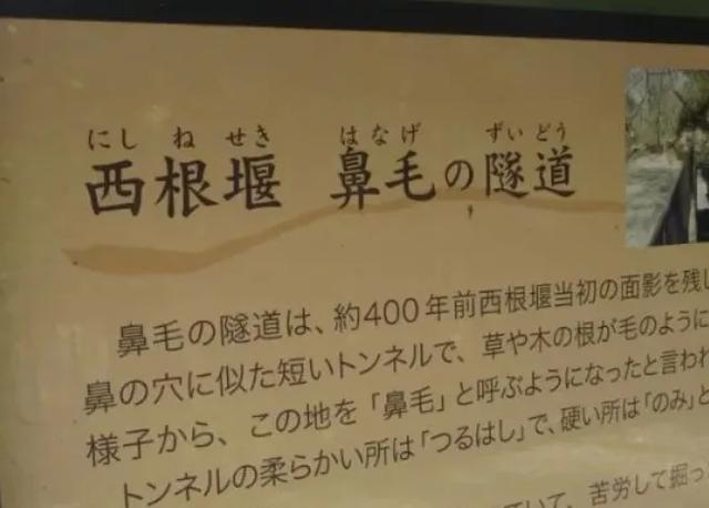 学不会日语有多好笑？光塑料日语就够我笑一年了...