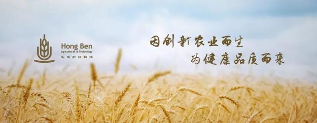 杨凌弘本农业：创新发展五位一体的富硒农产品产业化模式助力扶贫
