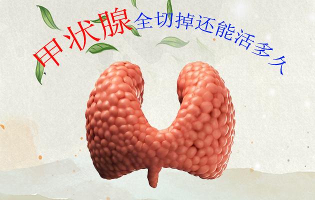 甲状腺全切掉还能活多久，你是否有相同的疑问？