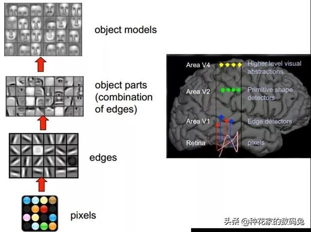 深度学习技术详解