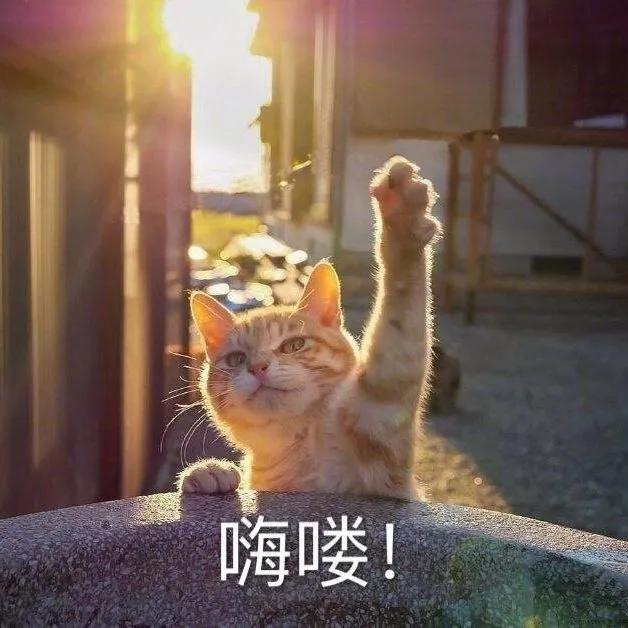 շСá߽񷨵㉙