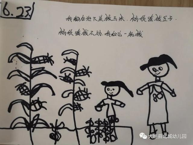 幼兒園自然教育與勞動實踐：“開心菜園”里的故事