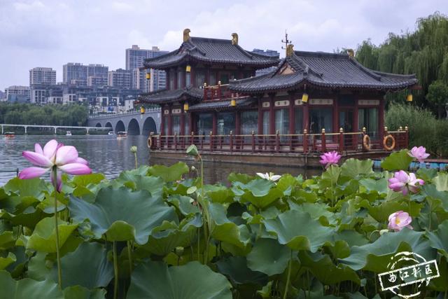 曲江卧莲台，一池荷花醉夏天