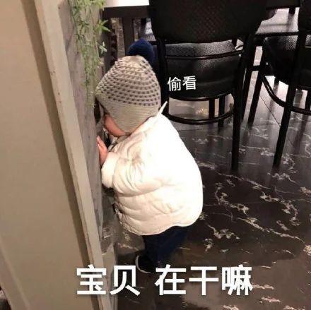 7.24 | 表情包来啦