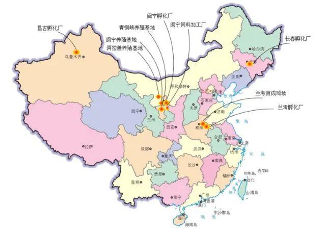 养鸡27年、年净利润破1个亿，他准备冲击中国鸡蛋行业第一股