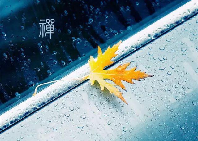 《正念的奇迹》：94岁，流亡异国，他的这本书让9000万人走出迷茫