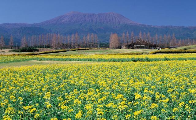 对华出口大跌，加拿大再次做出错误决定！中国