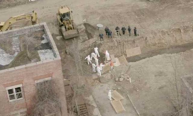 大批秃鹫现身纽约领空，特朗普突然通告海外，下达禁令全球哗然