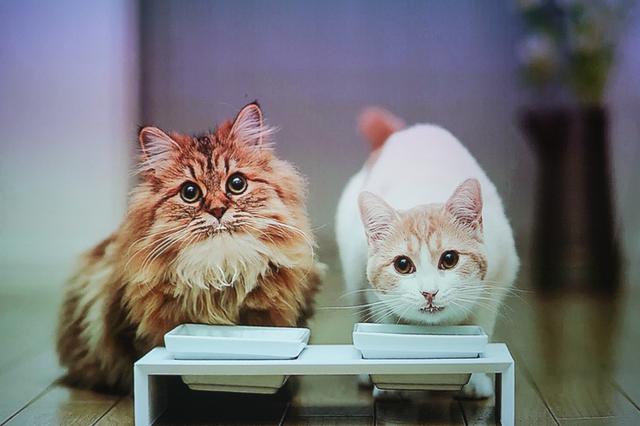 小米有品90后第二台电视！IMAX巨幕，3D环绕音，