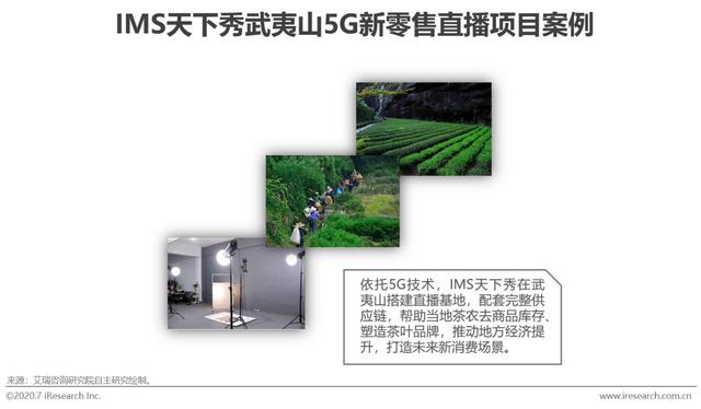 2020���й����˾�����ҵģʽ���Ͱ����о�