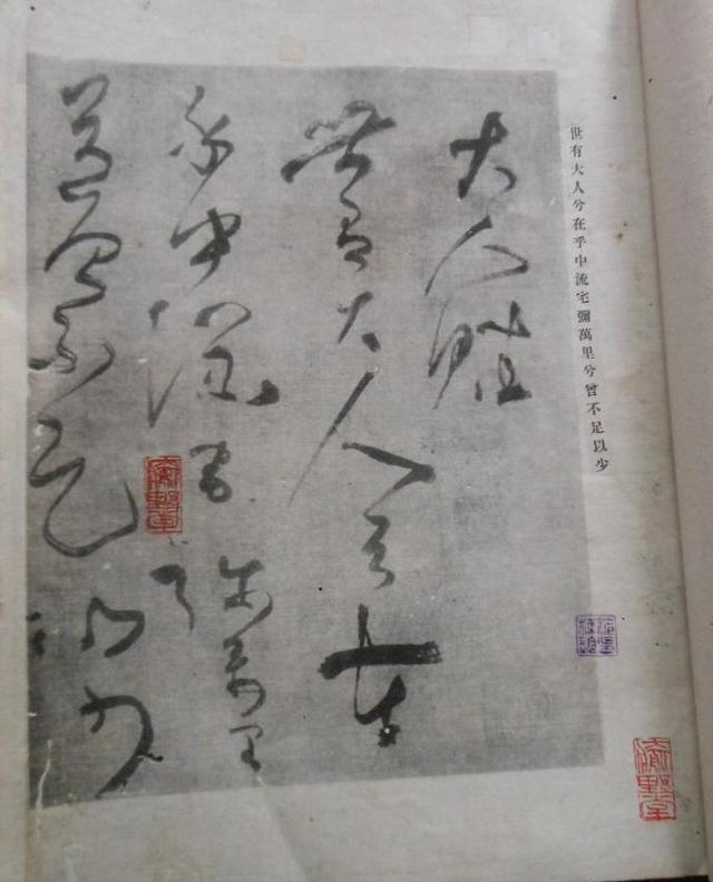 与杜甫同病相怜的博士书法家