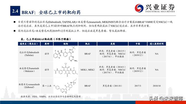 肺癌专题报告：序贯靶向治疗是核心，免疫联合治疗是新常态