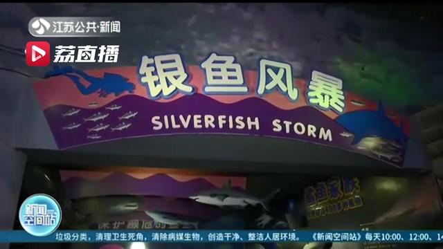 万条蓝圆鲹来袭 南京海底世界上演海底银鱼“乘风破浪”
