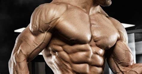 肌肉大小、肌肉力量、肌肉耐力之间有什么关联？