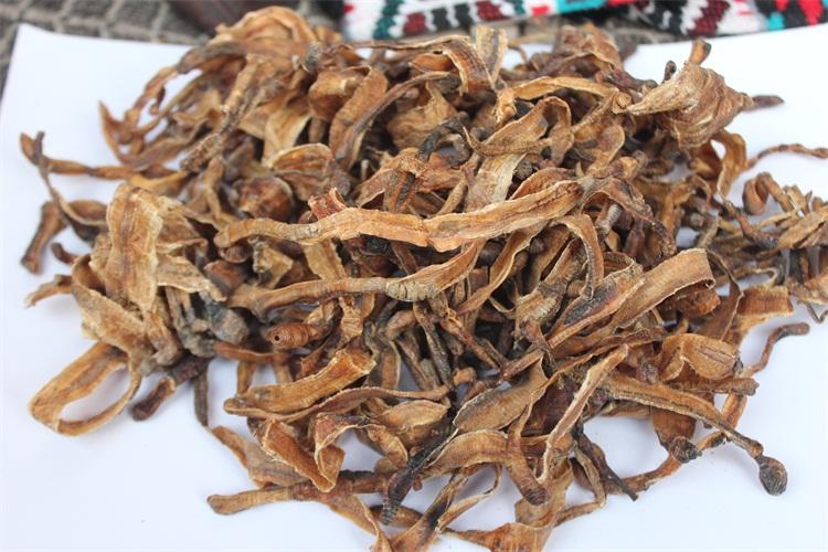地龙是什么环节动物蚯蚓中药功效作用浅析