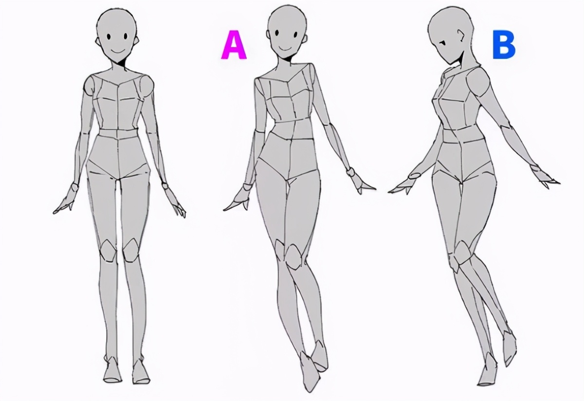 初学者不会画人体结构不可错过的人体绘制技巧