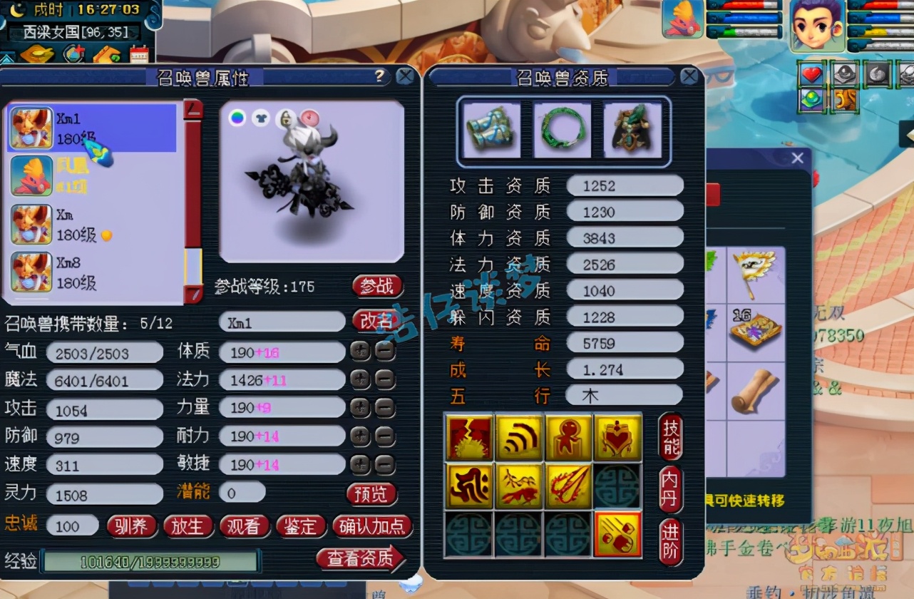 梦幻西游：175极品大唐展示，装备宝宝不输服战号，确很低调