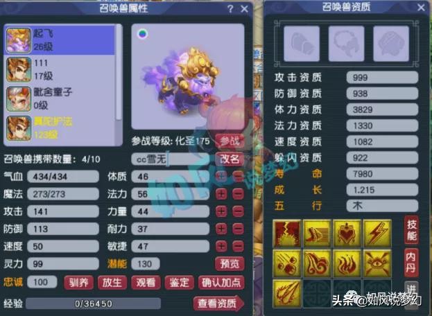 梦幻西游：老王更新净台护盾宝宝，全服第1的须弥芙蓉求超越？
