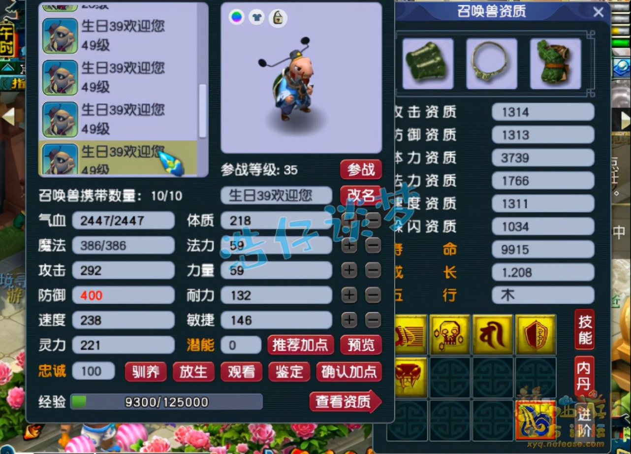 梦幻西游：39罕见花果山，全身30级装备酷爱龟丞相，8只带特殊