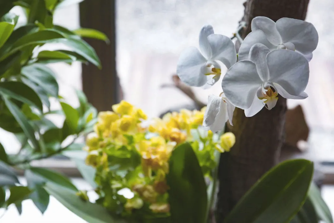 10个女友抱团进山，造出京郊一片超美野地