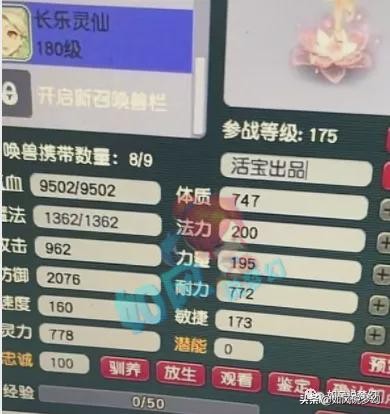 梦幻西游：新资料片带动青花瓷涨价，实锤出无级别与熟练度无关