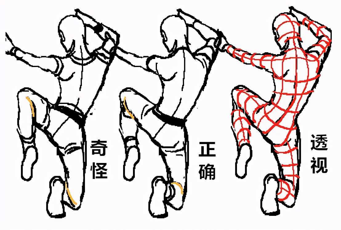 动漫人物透视怎么画教你画不同姿势的人体透视画发教程