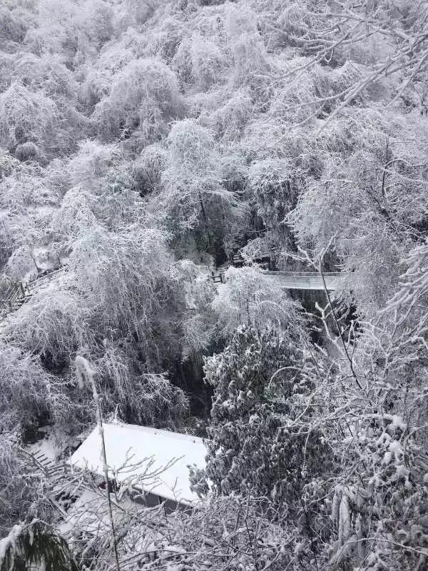 神瀑沟冰雪季等你来撒欢儿