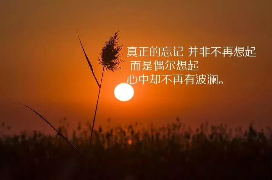 适合自己发说说的心情句子,总有一句深同感受