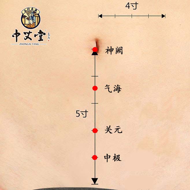 (气海穴(神阙穴)