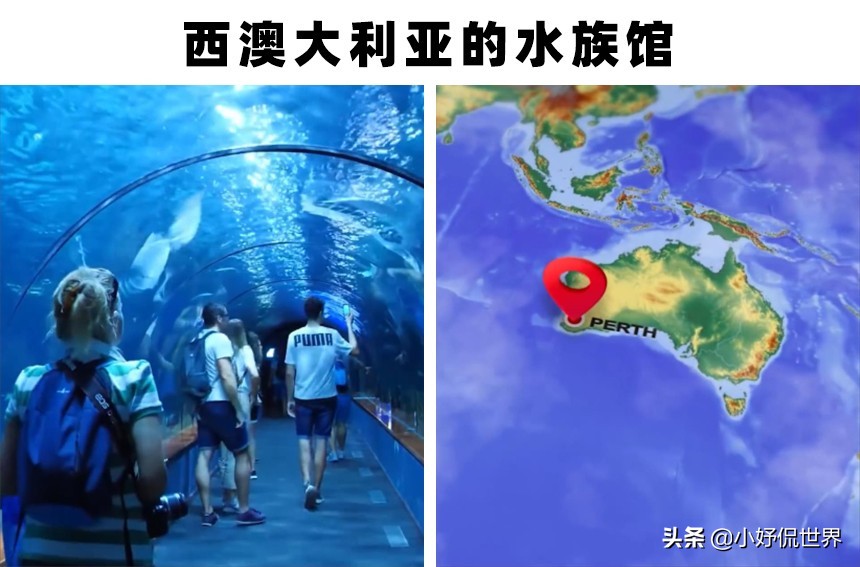 世界上存在着的11个巨大而神奇的水族馆