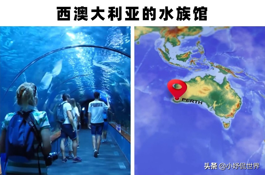 世界上存在着的11个巨大而神奇的水族馆